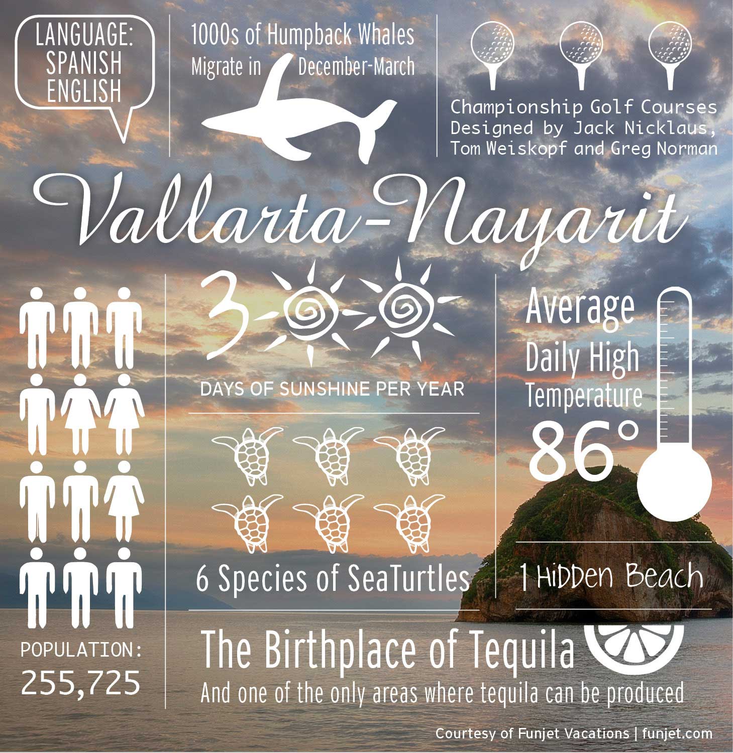 Vallarta_Nayarit_Infographic_350x350