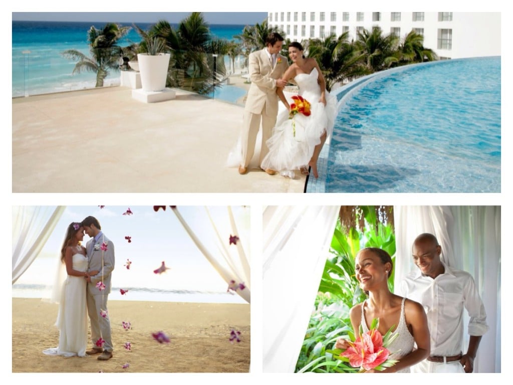 Wedding Photographers