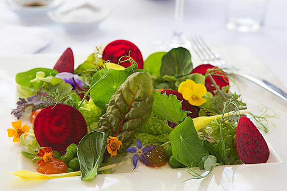 With five adults-only, all-inclusive paradises strung along the Riviera Maya shore, pick the one that works best for you and dive headfirst into an astounding Karisma Experience.