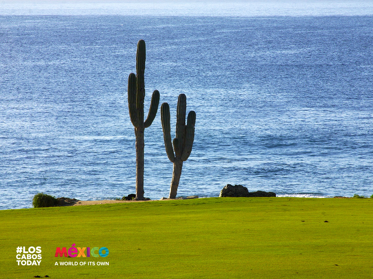 Los Cabos Golf | Funjet Vacations